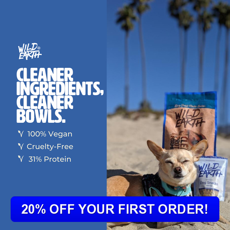 Partners Komorebi Eco Shop