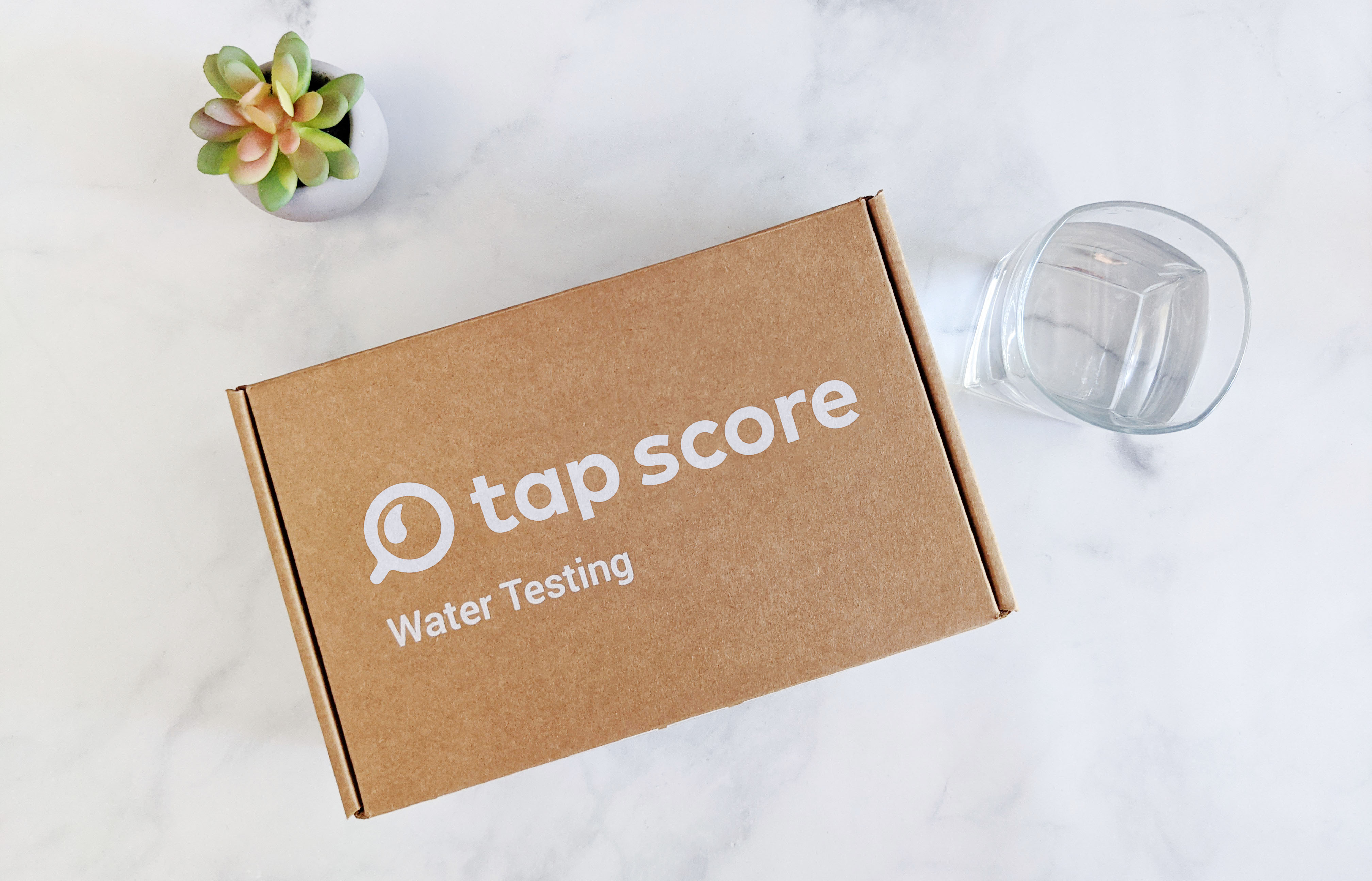 Tap Score well water test kit