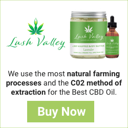 CBD Products