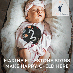 Marine Milestone Signs